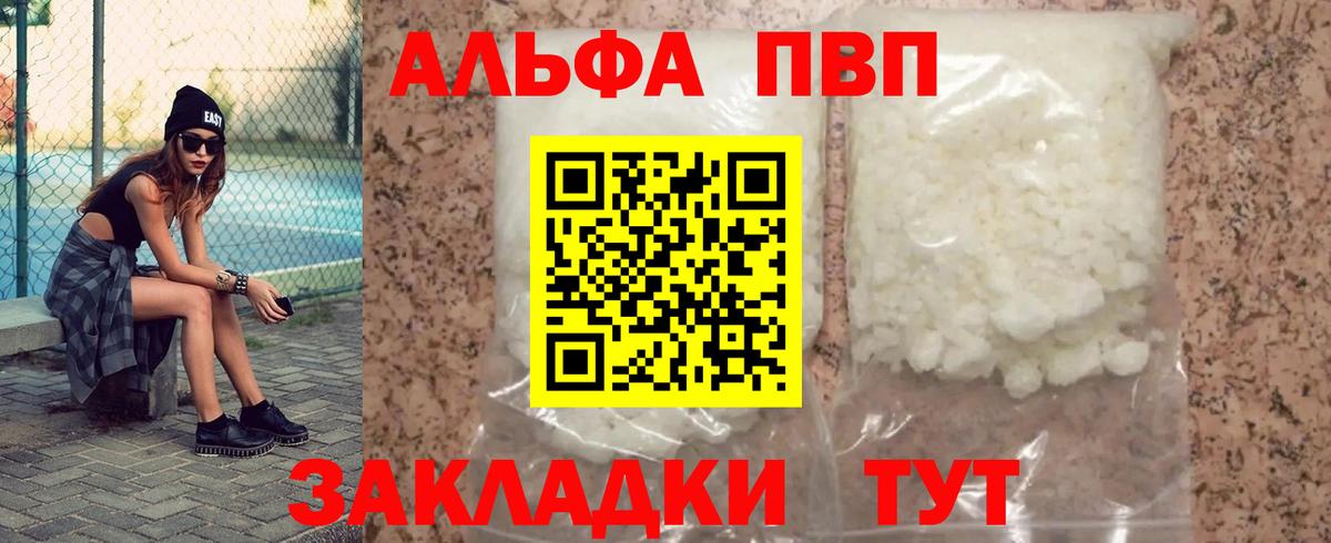 A PVP СК Бердск