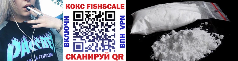 закладки  дарк нет какой сайт  КОКАИН Fish Scale  Бердск 