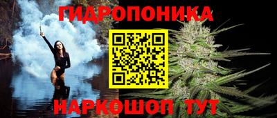 молекула духа Берёзовский