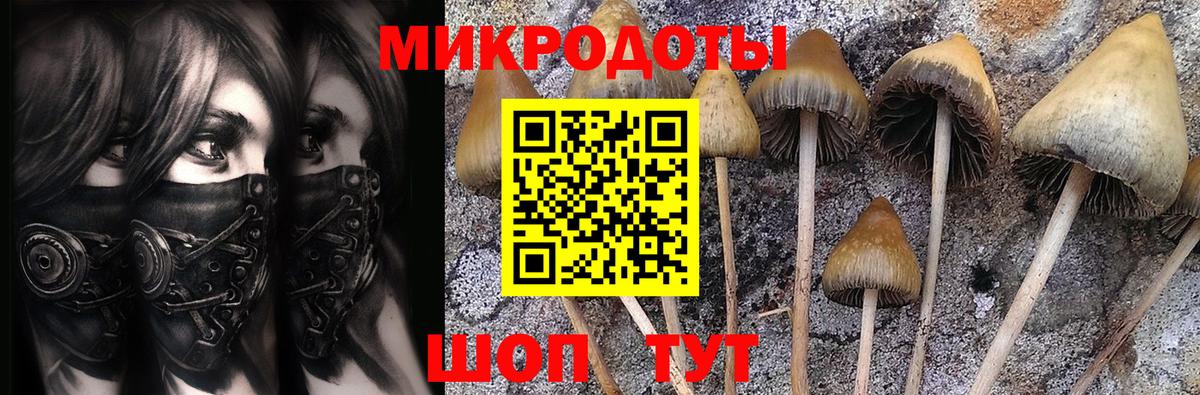 Галлюциногенные грибы GOLDEN TEACHER  где продают   Бердск  Вход с VPN  Галлюциногенные грибы мухоморы 