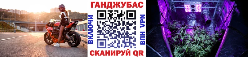 Конопля конопля  Бердск 